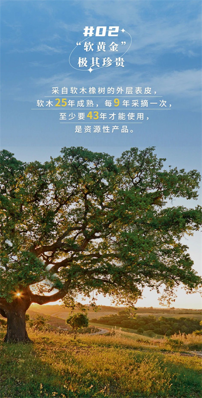 無懼挑剔眼光，裝飾材料的天花板！ image4