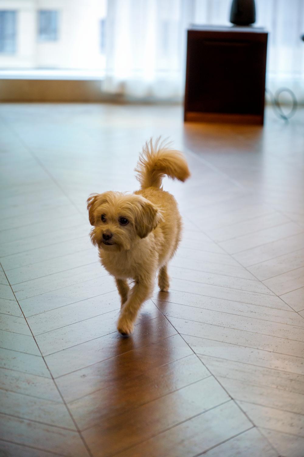 中式風(fēng)新家的靈魂，居然是這塊軟木地板 圖片12